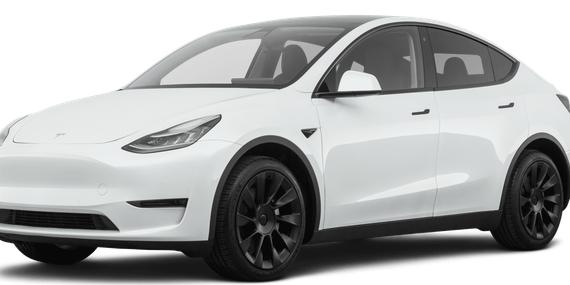TESLA MODEL Y 2020 5YJYGDEE8LF026443 image